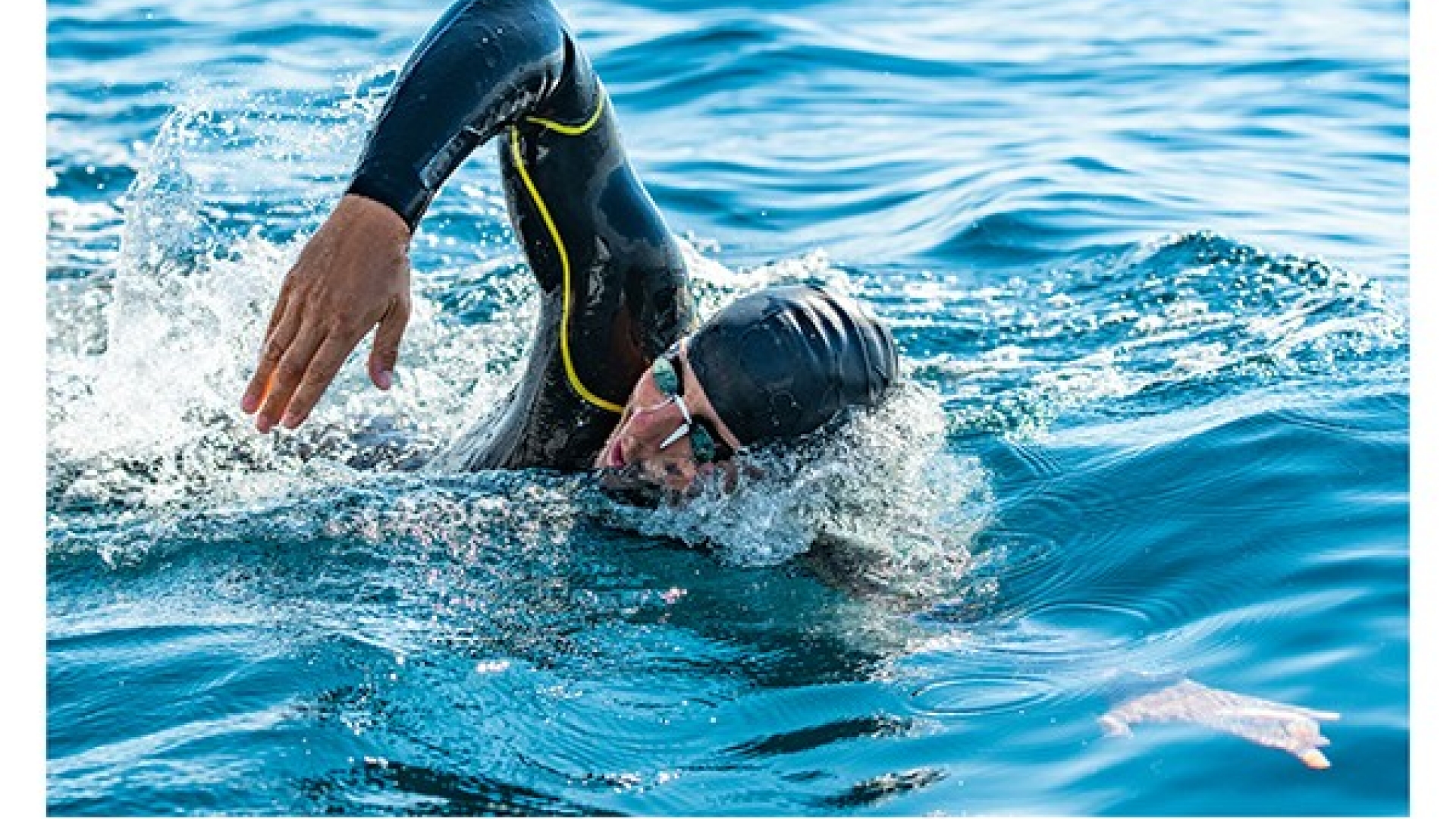Buy Wild Open Water Swim Admission Buy Wild Open Water Swim Admission
